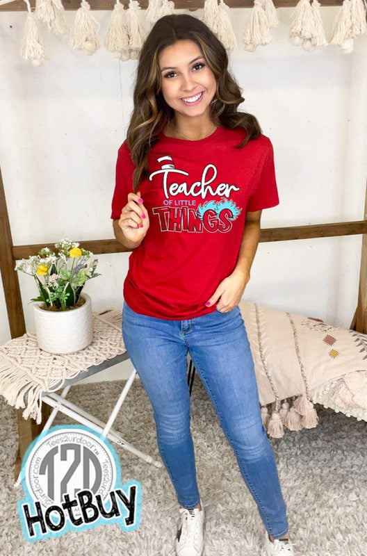 Teacher of Little Things T-Shirt