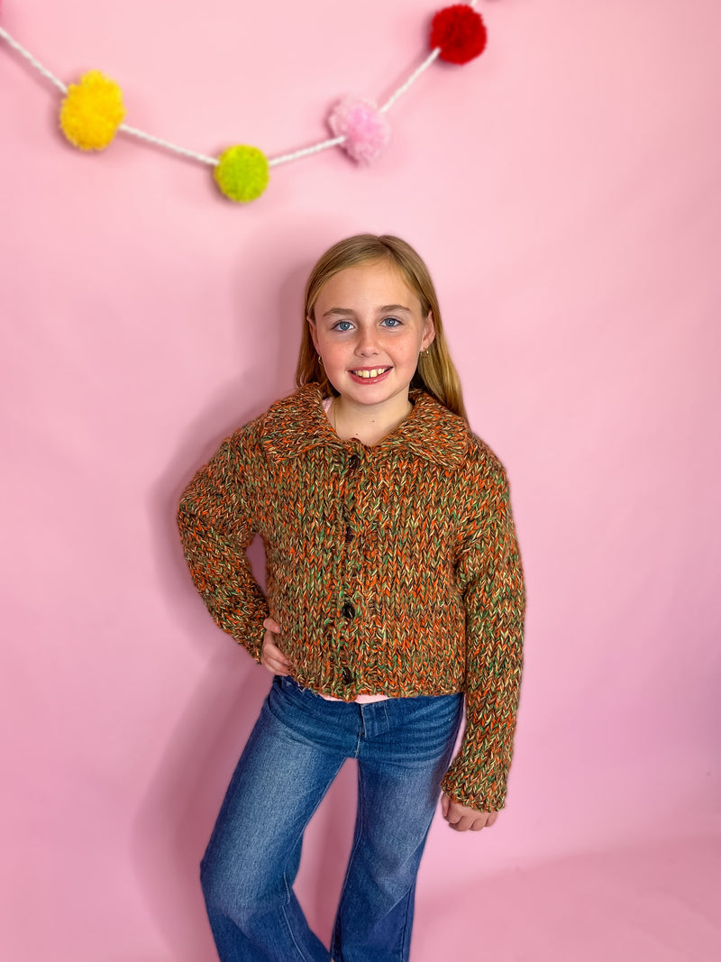Multicolor Yarn Collared Button Sweater Cardigan