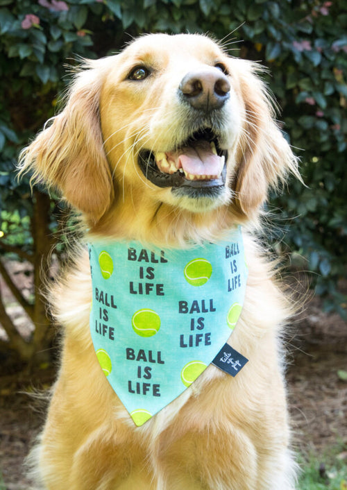 Ball is Life Dog Bandana - shoptheexchange