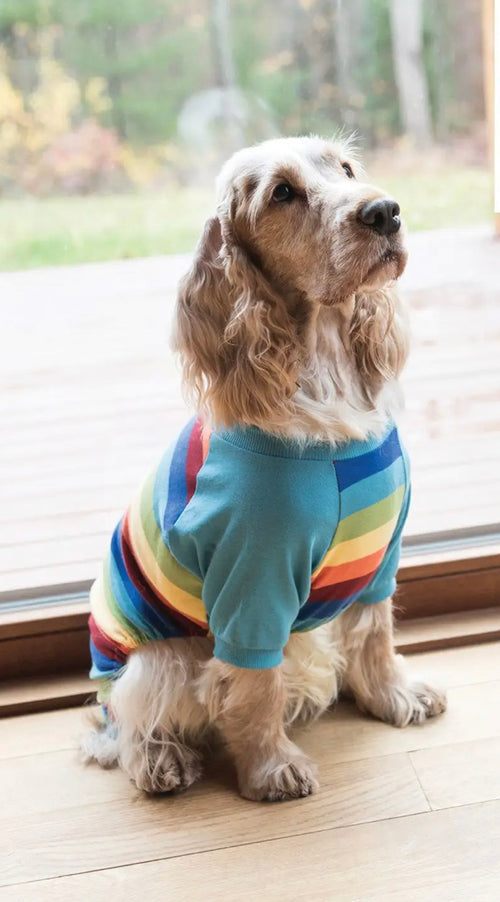 Dog Striped Pajamas- Boy - shoptheexchange